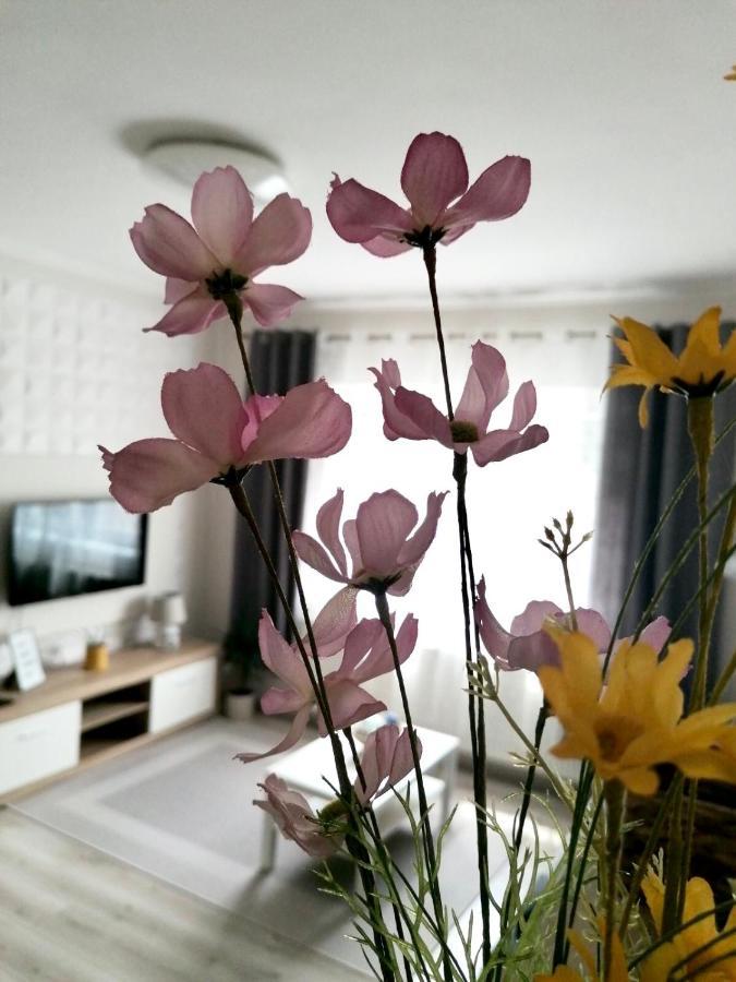 Sweet Central Apartment ,In The City Center Eger Exterior foto